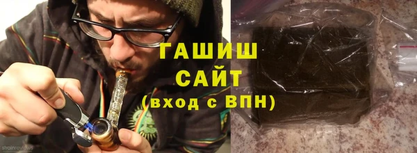 дмт Бородино