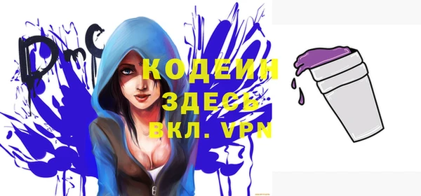 дмт Бородино