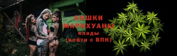 дмт Бородино