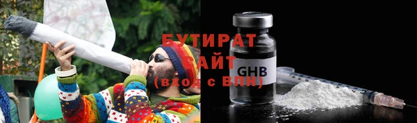 дмт Бородино