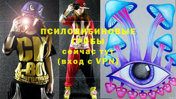 дмт Бородино