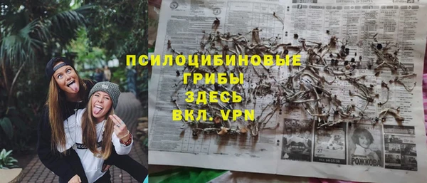 дмт Бородино