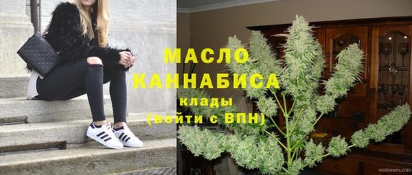 дмт Бородино
