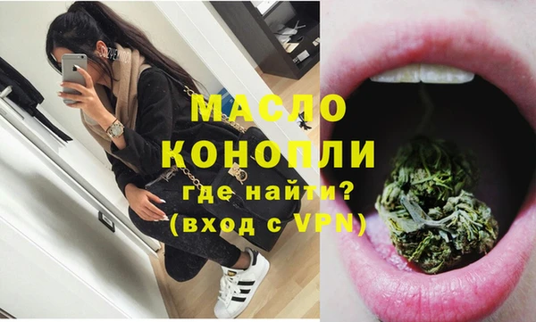 дмт Бородино