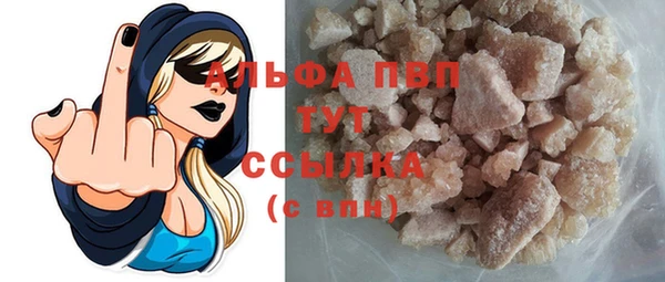 дмт Бородино