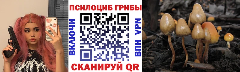 Псилоцибиновые грибы Magic Shrooms  как найти наркотики  Новоаннинский 