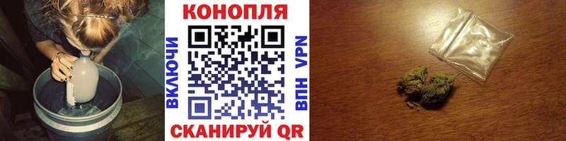 Шишки марихуана гибрид  Новоаннинский 
